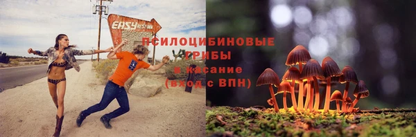 сатива Абинск