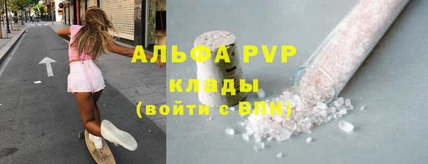сатива Абинск