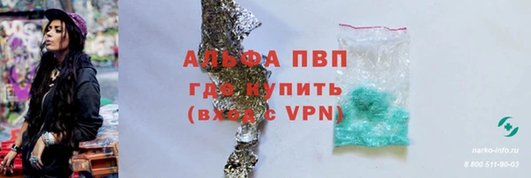сатива Абинск