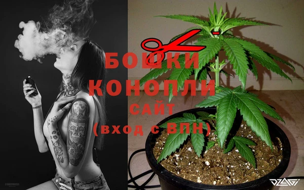 сатива Абинск