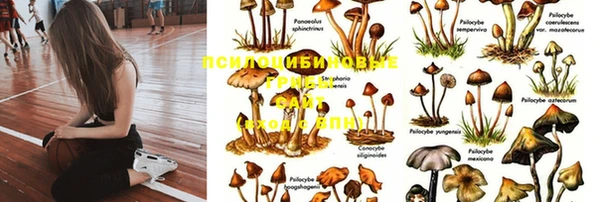 таблы Абдулино
