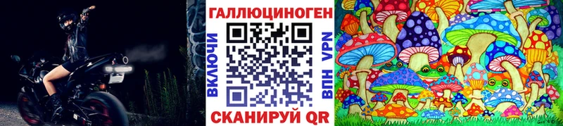 hydra вход  Егорьевск  Псилоцибиновые грибы ЛСД  магазин продажи  