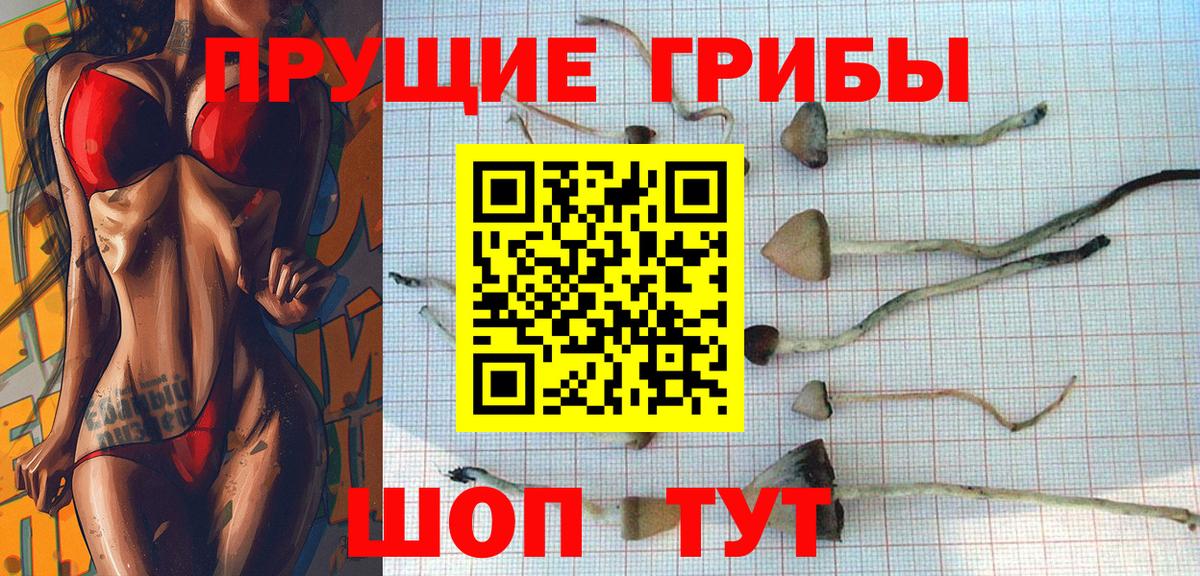 Псилоцибиновые грибы прущие грибы Егорьевск