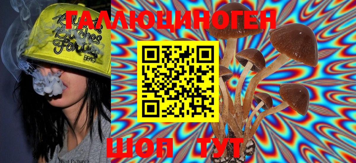 Псилоцибиновые грибы Magic Shrooms  Галлюциногенные грибы Magic Shrooms  Вход с VPN  Егорьевск 
